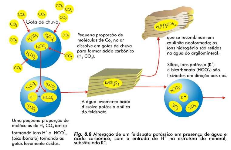 Hidrólise