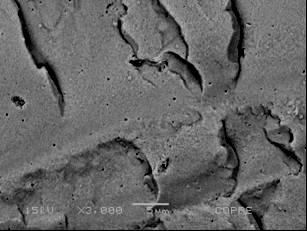 Micrografias de SEM para filmes da Série S3 com argila Cloisite 30B nos