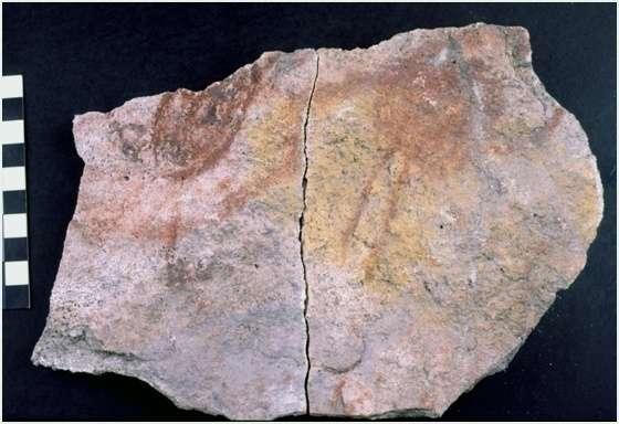 195 Figura 126: Fragmento da parede rochosa com vestígios de pintura evidenciada em estratigrafia na Toca do Sítio do Meio, com datações entre 9400±60 e