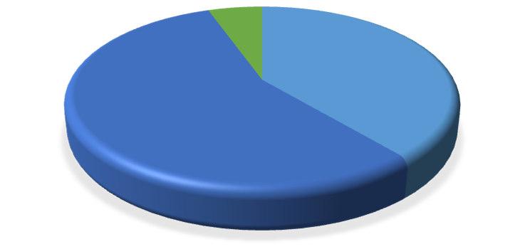 Diferenciada Recolhas Ecopontos Circuitos Especiais 25% Ecopontos 60% 15%