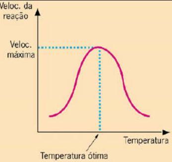 Fatores que alteram (interferem) na ação enzimática Temperatura Desnaturação proteica (quando a proteína perde a função Ex: