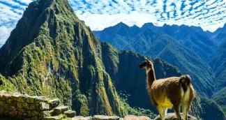 servido um chá de boas-vindas com folhas de coca que o ajudará na adaptação com altitude (Cusco está a 3.400 metros sobre o nível do mar).