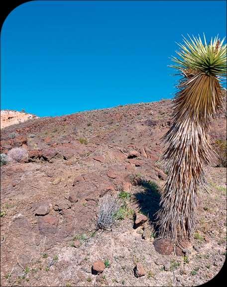ERIN BABNIK / ALAMY / OTHER IMAGES Clima desértico ocorre nos grandes desertos, geralmente em áreas subtropicais temperaturas muito