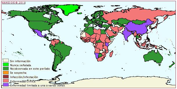 Essa patogenicidade pode variar de muito alta (amostra velogênica), para intermediária (amostra mesogênica) até muito baixa (amostra lentogênica).