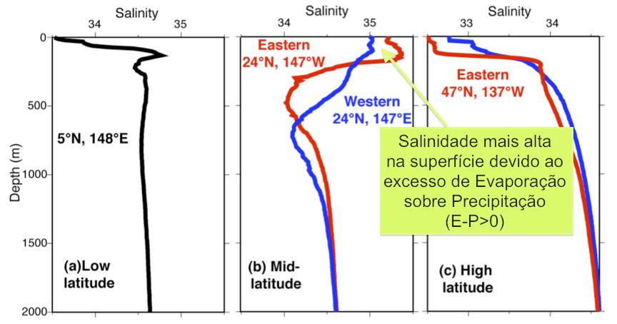 Variação da salinidade em latitudes médias Olga T.