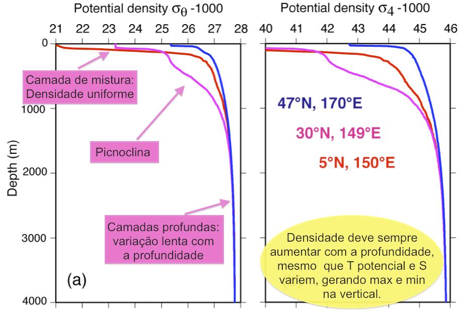 Perfis de densidade nos oceanos Olga T.