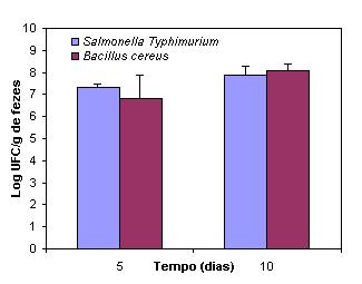4.2 - Antagonismo "in vitro" O teste denominado "in vitro" foi feito em ágar MacConkey e ágar BHI (MERCK) a partir de microgotas (5 microlitros) de Bacillus cereus ativado em Caldo BHI por 18 horas à