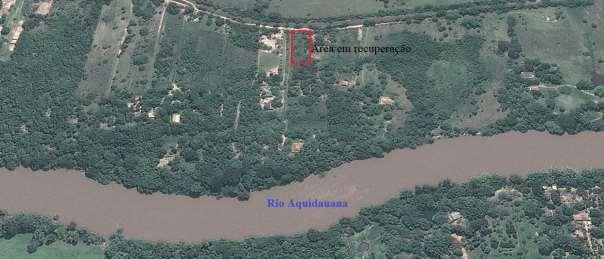 Figura 1: Imagem aérea da área reflorestada situada em Aquidauana, MS. Fonte: Google Earth (2010).