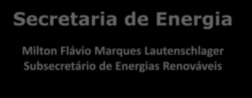 Secretaria de Energia Milton Flávio Marques Lautenschlager Subsecretário de
