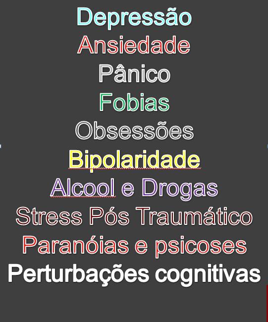 Inflexibilidade Irritabilidade Agressividade Passividade Pouco discernimento