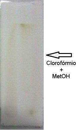Figura 02: Cromatografia em camada delgada da amostra de Limãozinho eluída em clorofórmio Pode-se observar ainda a partir da Figura 02 a confirmação para alcalóides de forma bem discreta, detectada