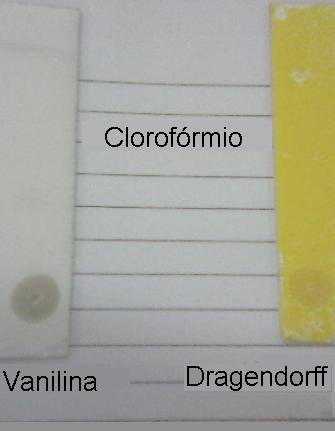 Flavonas + Flavonóis + Xantonas + Esteroides + Triterpenoide - Saponinas - Alcaloides + A partir da técnica de cromatografia em camada delgada (CCD), as amostras submetidas apresentaram fluorescência