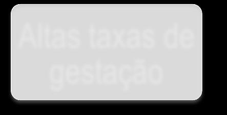 taxas de