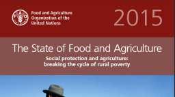 Segurança Alimentar e Nutricional, Política e Plano Nacional de SAN (2003-atual)