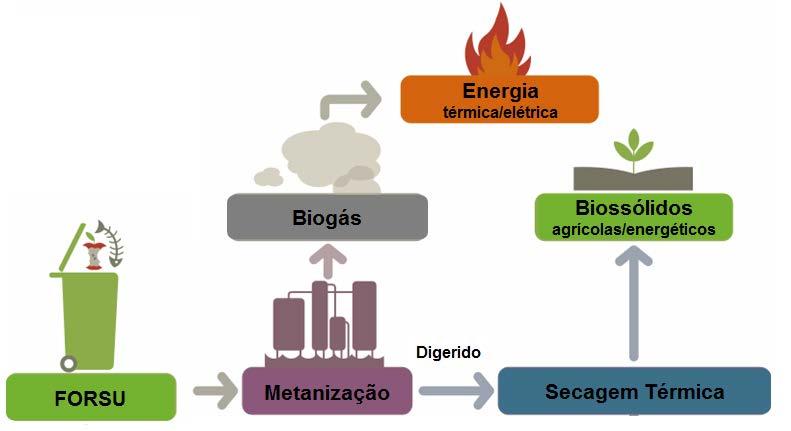 Contextualização Vantagens e Diferenciais: Saneamento associado à geração de energia renovável. Sistema modular expansível - a partir de 20 t/dia.