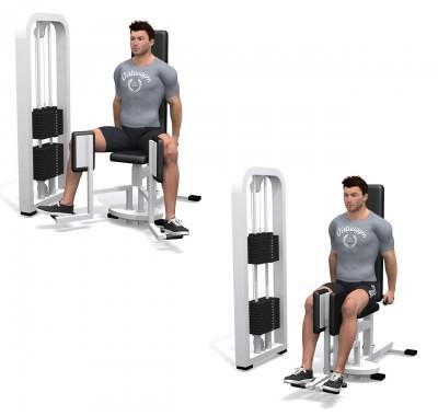 Calf raise incline leg press machine Panturrilha Ajuste o equipamento às suas medidas. Ajuste o peso.