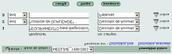 Uma vez identificados os dois assuntos, a expressão de pesquisa está montada no formulário.