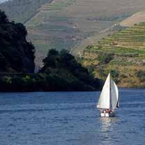 privado com skipper (2horas) Dê uma fuga ao Douro e venha passar umas horas excecionais a velejar e a mergulhar nas águas do rio Douro.