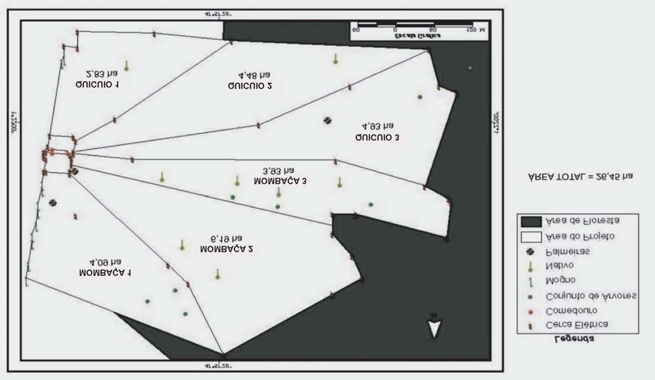 Mapa 1 - Mapa demonstrativo da área experimental, com destaque para os sistemas silvipastoris implantados com capim Mombaça ou capim Quicuio, para engorda de bovinos de corte.