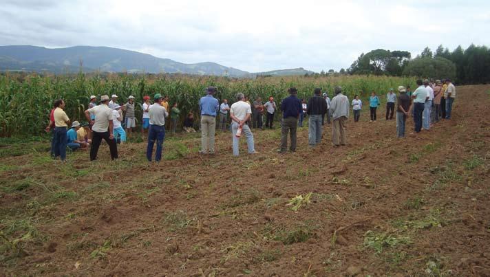 Encontro de agricultores(as) experimentadores(as) para avaliação e debate sobre resultados produtivos e econômicos das lavouras de milho em transição agroecológica, em Irineópolis, março 2009 Rumo a
