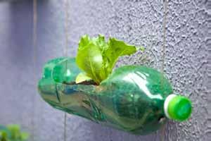 Garrafas PET podem ser reaproveitadas e transformadas em vasos para as hortas, podendo ser afixadas em paredes ou penduradas em cabos.