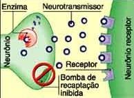 Tratamento da