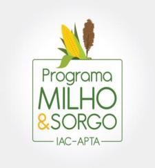 Reunião Técnica Sobre a Cultura de Milho Safrinha no Estado de São Paulo HISTÓRICO E PERSPECTIVAS DA ÁREA, CUSTO