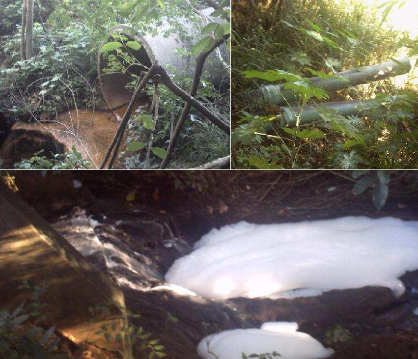 Figura 2: pontos de despejo de esgotos no rio Poti. Foto dos autores (Teresina, 2012).