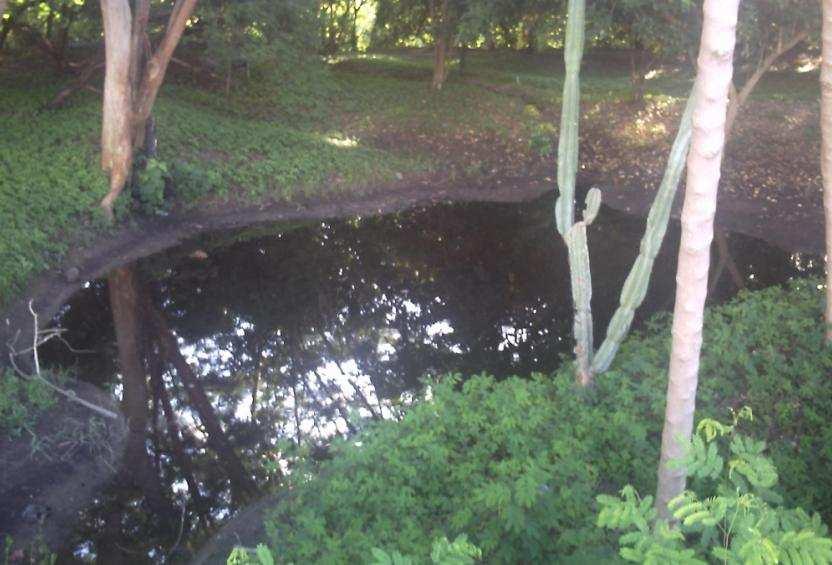 Figura 4: área alagável entre o rio Poti e a calçada principal da Av. Raul Lopes. Foto dos autores (Teresina, 2012).