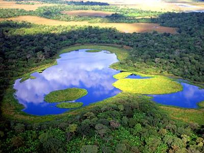 68 ISSN 1981-7231 Dezembro, 2008 Corumbá, MS Foto: Daniel De Granvile (http//www.pantanalecoturismo.tur.br) Estoques de Carbono do Estrato Arbóreo de Cerrados no Pantanal da Nhecolândia Ana Helena B.