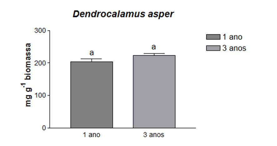 Gráfico 1. Teor de lignina em colmos de 1 e 3 anos das espécies Dendrocalamus asper e Bambusa vulgaris de bambu gigante. Os dados foram comparados pelo teste t.