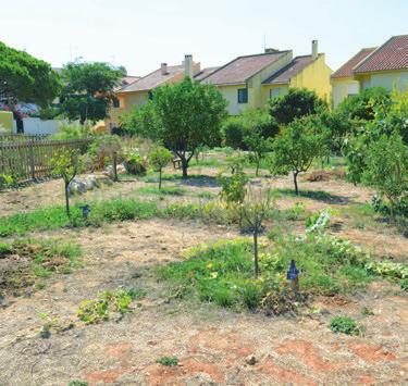 COMUNITÁRIA DO BOSQUE DOS GAIOS COM 7 NOVAS PARCELAS, ESTORIL 2016