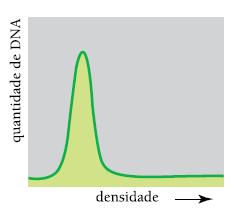 Geração inicial N14 Transferidas para meio com N15 N14-N14 N15-N15 100% com ambas as fitas com N14 N15 Na replicação, conserva-se as fitas fitas parentais parentais com N15 com e N14 e produz-se