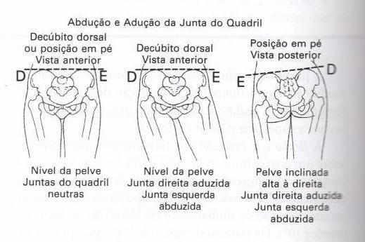 A abdução e adução são movimentos realizados sobre o plano coronal ou frontal, que divide o corpo em segmentos anterior e posterior. A abdução afasta-se do plano sagital médio, na direção lateral.