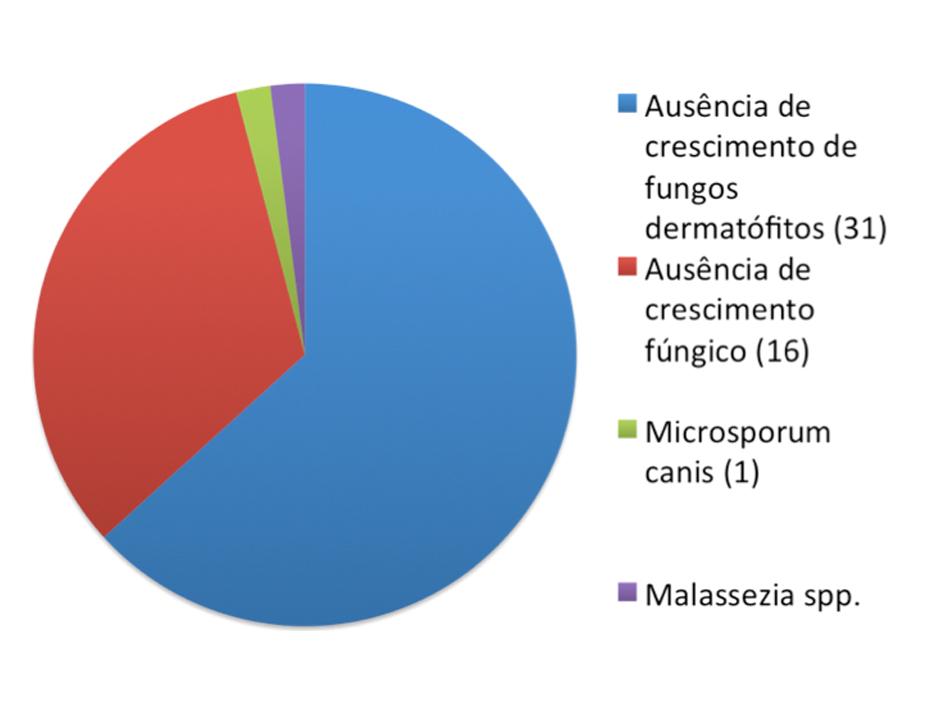 29 Em 17 amostras não houve crescimento em ágar sangue. Com relação ao exame direto para pesquisa de Leptospira spp.