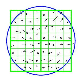 classificação. Mais detalhes sobre o Método de Histogramas de Gradientes Orientados podem ser vistos em [3]. (c) Histograma vertical (d) Histograma radial Fig. 3.