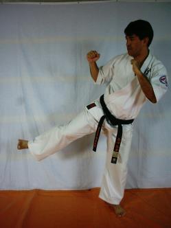 Low Kick ou Gedan Mawashi Geri.