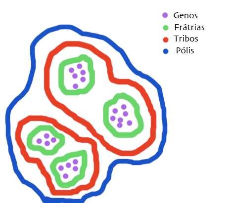 Período Homérico Genos: Comunidades agrícolas autossuficientes (formada por parentes) comandados por um pater