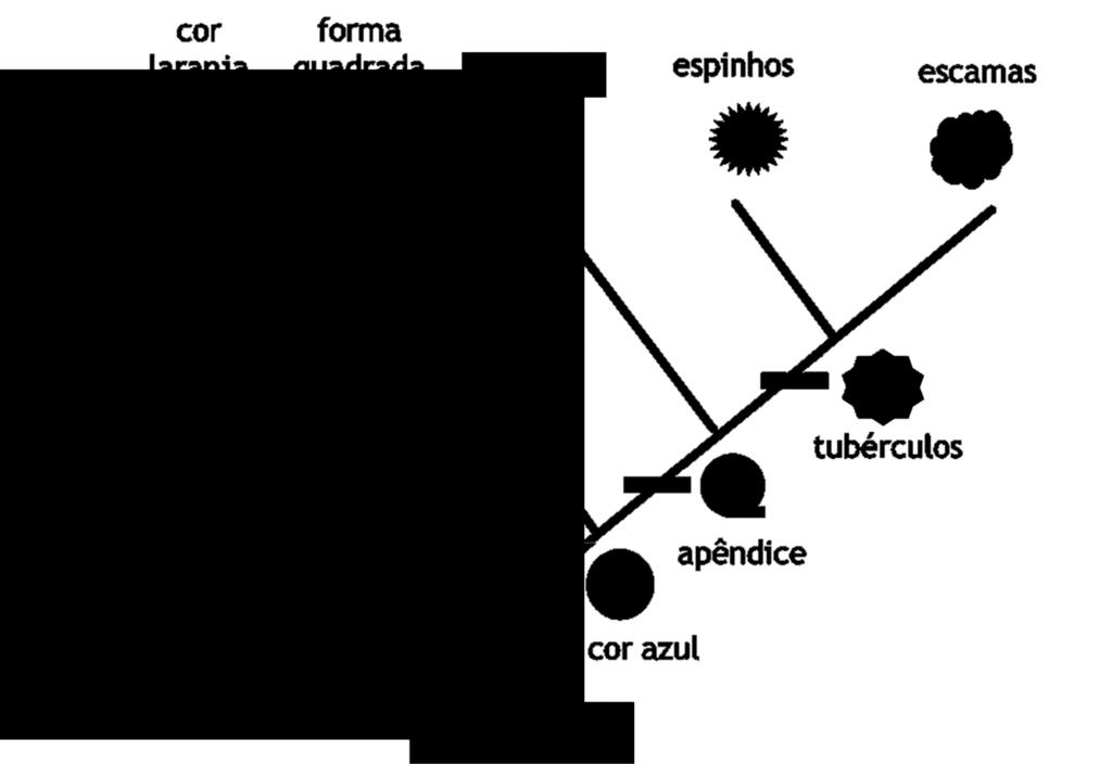 estados do caractere apomorfias e