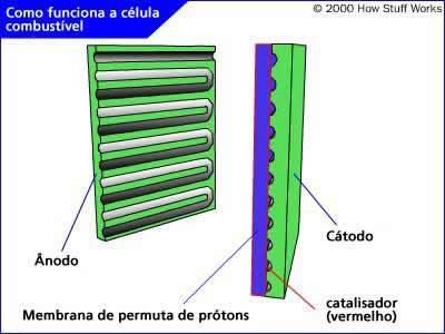 4H+ + 4e- Cátodo: O2 + 4H+ + 4e-