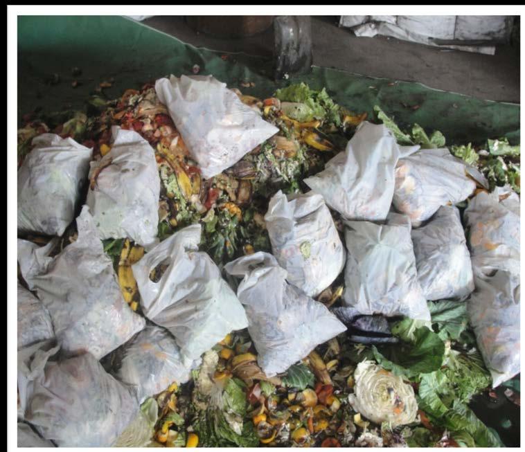 Objetivo: Compostar resíduos orgânicos em sacos e sacolas