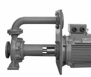 PRESSURIZAÇÃO I PRESSURIZATION NNJ/VNNJ Bombas Normalizadas EN733 I Normalized Pumps EN733 NNJ EN 733 As séries NNJ/VNNJ são constituídas por bombas, eletrobombas e motobombas, normalizadas segundo a