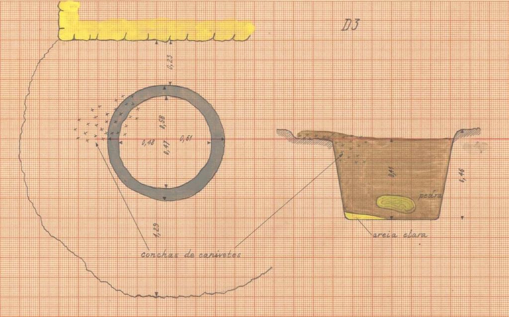 11A (AHMNA)). Fig.