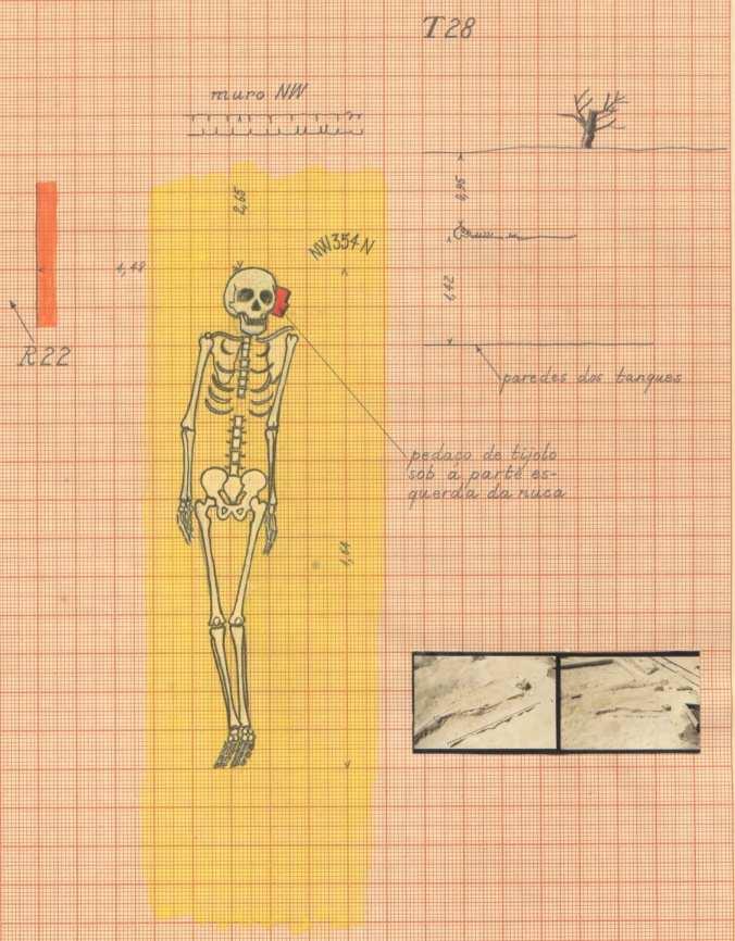 Fig. 38 Desenho do esqueleto T28