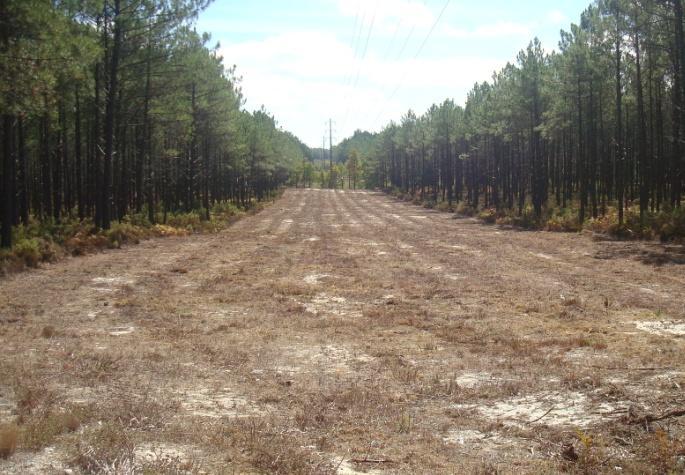 áreas definidas no PMDFCI, num total de 6,50 ha, a ceifa de ervas, limpeza e desmatações dos terrenos, de forma a evitar a ocorrência de