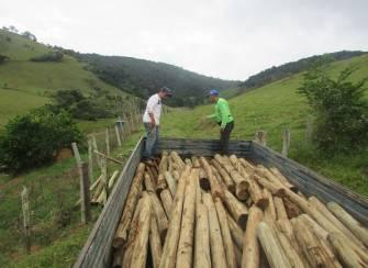 Descrição: Moirões, arame farpado e balancins