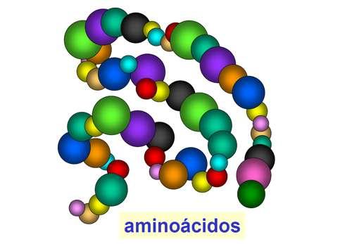 [Esse processo de enrolamento e pregueamento costuma ser denominado folding e, por uma questão de uniformidade com o vocabulário que costuma ser adotado pela comunidade científica, manteremos esta