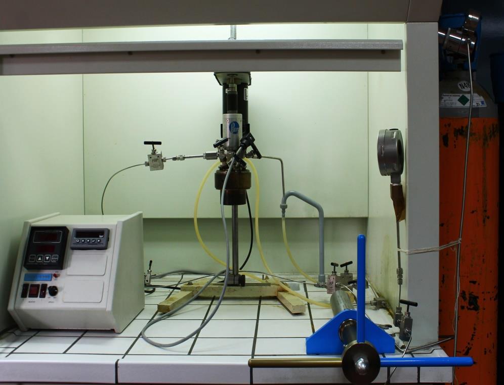 Tarefa 6 Hidrogenação supercrítica: otimização do processo Reator Garrafa