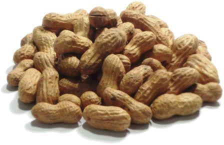 Tipos O amendoim em casca, observadas as características dos seus subgrupos, será classificado, de