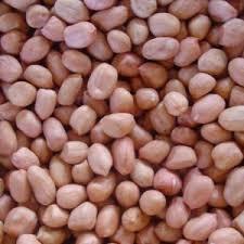 Subclasses Bicolor - constituída de amendoim que contém no mínimo 90% em peso de grãos com película de 2 (duas) cores.